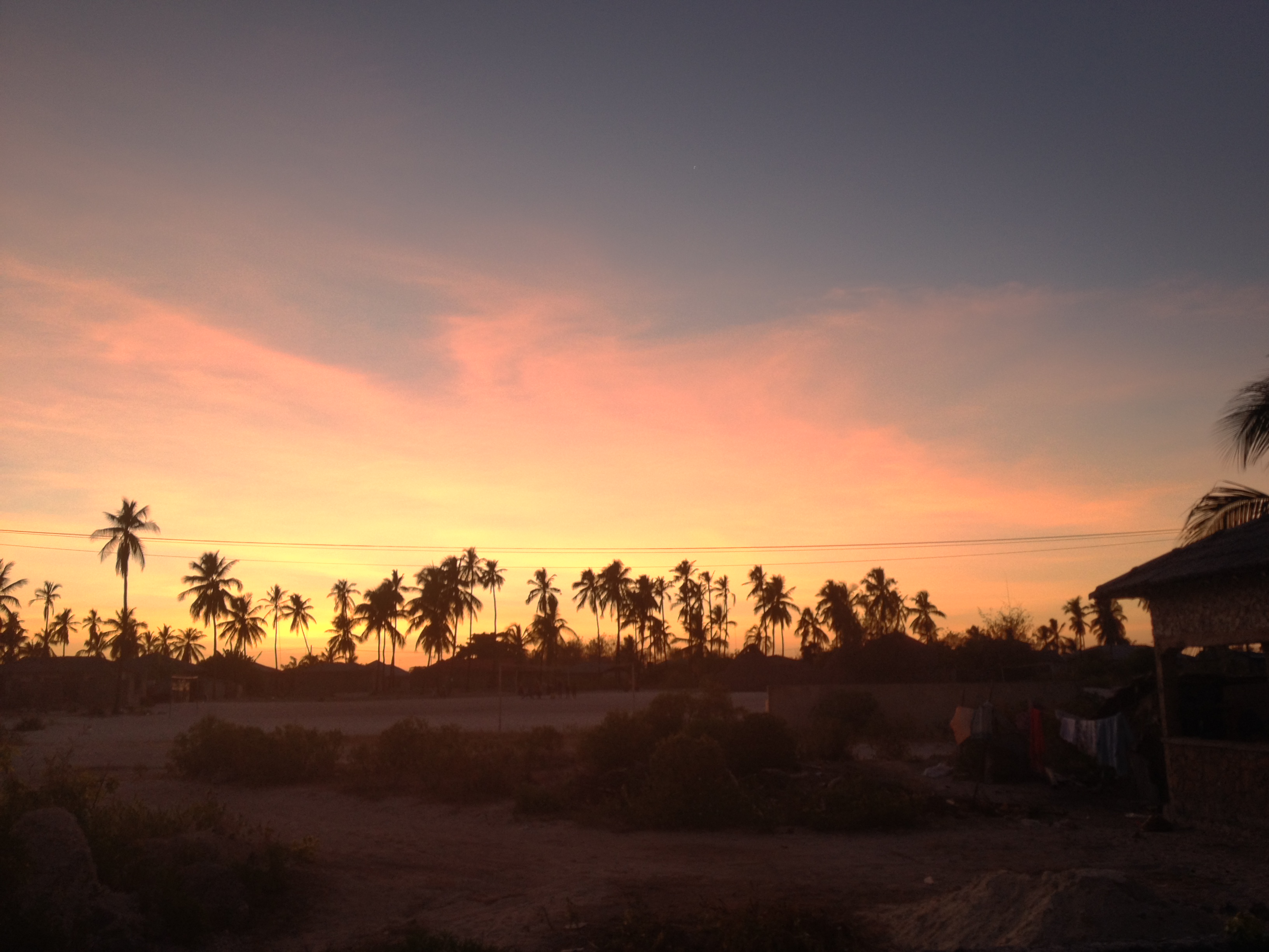 sunset twis on tour zanzibar palmas