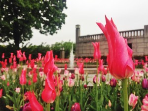 tulips sculpture park oslo notway twins on tour