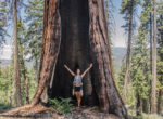 twins on tour karolina kowalczyk sequoia