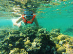 diving eliat izrael kasia kowalczyk twins on tour corals riff