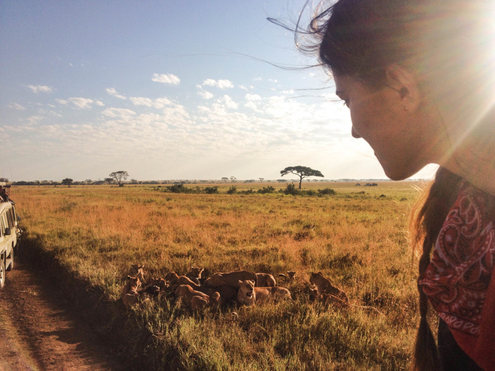 kasia kowalczyk lions twins on tour safari